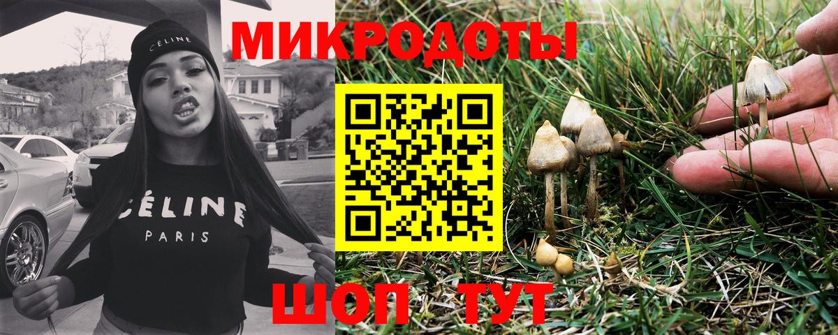 Псилоцибиновые грибы ЛСД  Галлюциногенные грибы MAGIC MUSHROOMS  Москва  Вход с VPN 