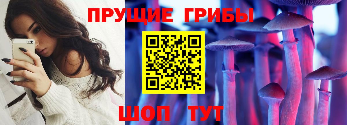 Псилоцибиновые грибы Cubensis Москва